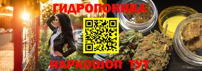 прущие крисы Анапа