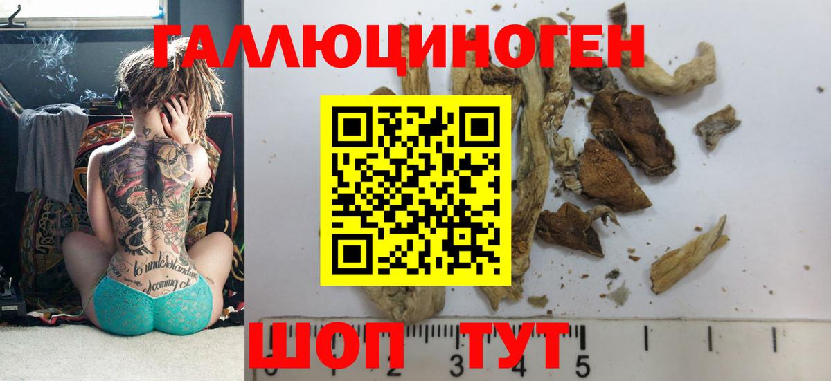 Орехово-Зуево  Галлюциногенные грибы Psilocybine cubensis  Вход с VPN 